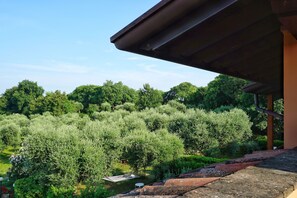 A view from a building's roof overlooking a lush garden with dense greenery and trees. - Borgo Predeschera (Lonato del Garda)