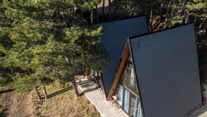 Una cabaña moderna con techo inclinado, ventanas grandes y un camino de piedra que conduce a la entrada.