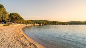 Ein Strand mit klarem Wasser, sandigem Ufer und Bäumen im Hintergrund.
