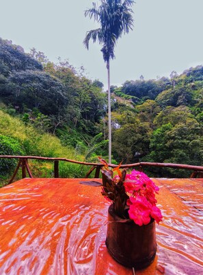 Front of property - Ella Waterfall View  (Ella)