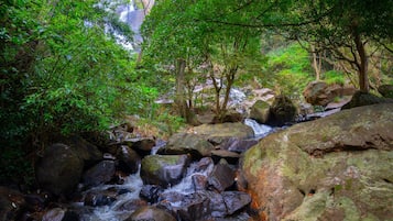 Voorkant van accommodatie