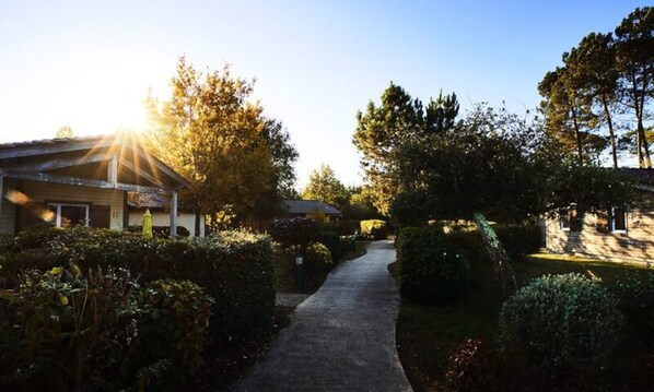 Property grounds - Cottage Near Lake Biscarrosse Parentis (Parentis-en-Born)