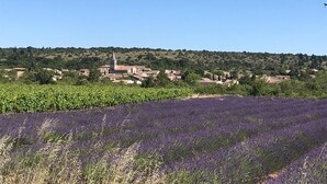 Un paisaje rural con una iglesia, campos de lavanda y casas dispersas.