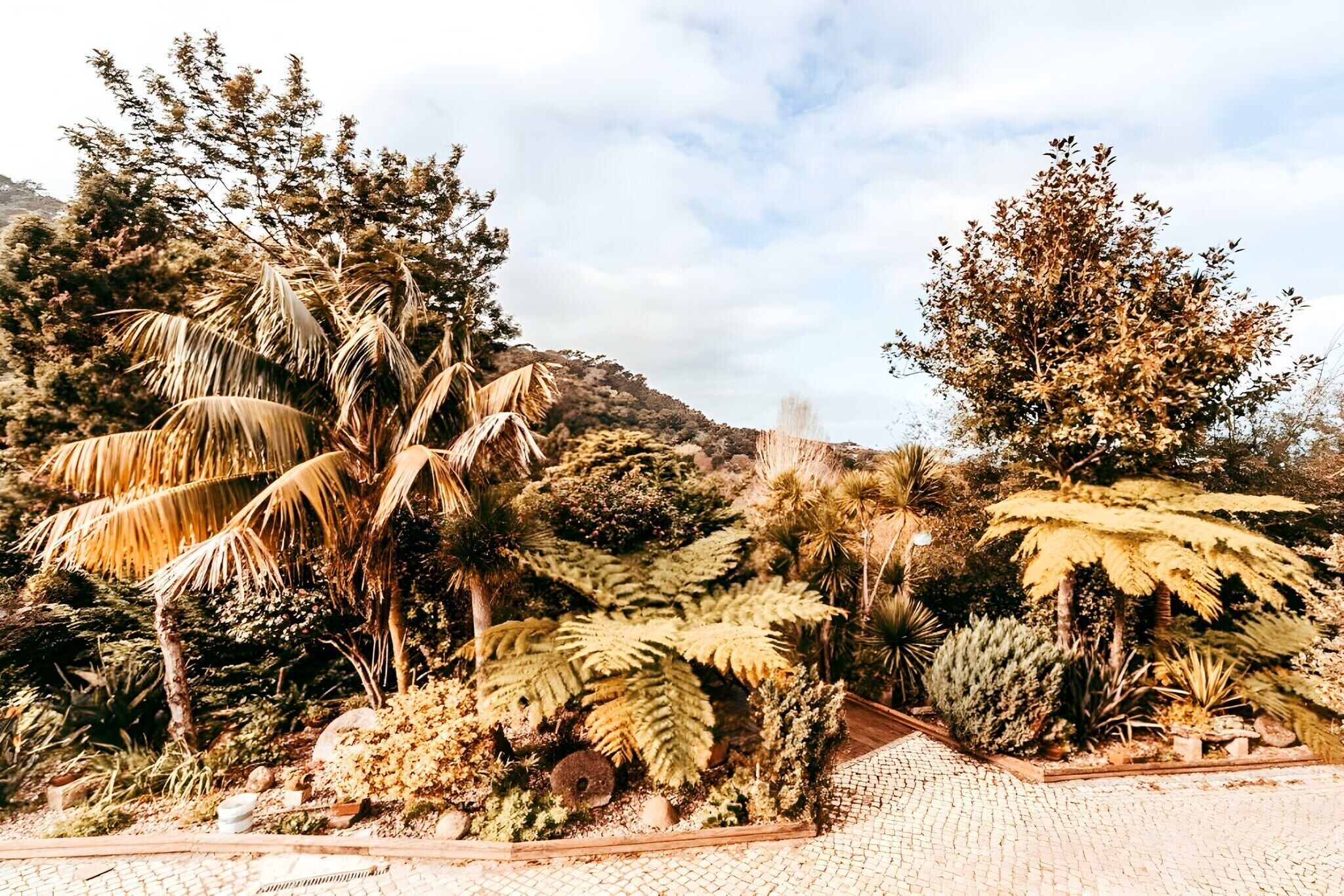 Áreas de la propiedad