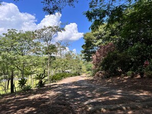 House - Casa de Campo Pet Friendly com Churrasqueira (Santo Antonio da Patrulha)