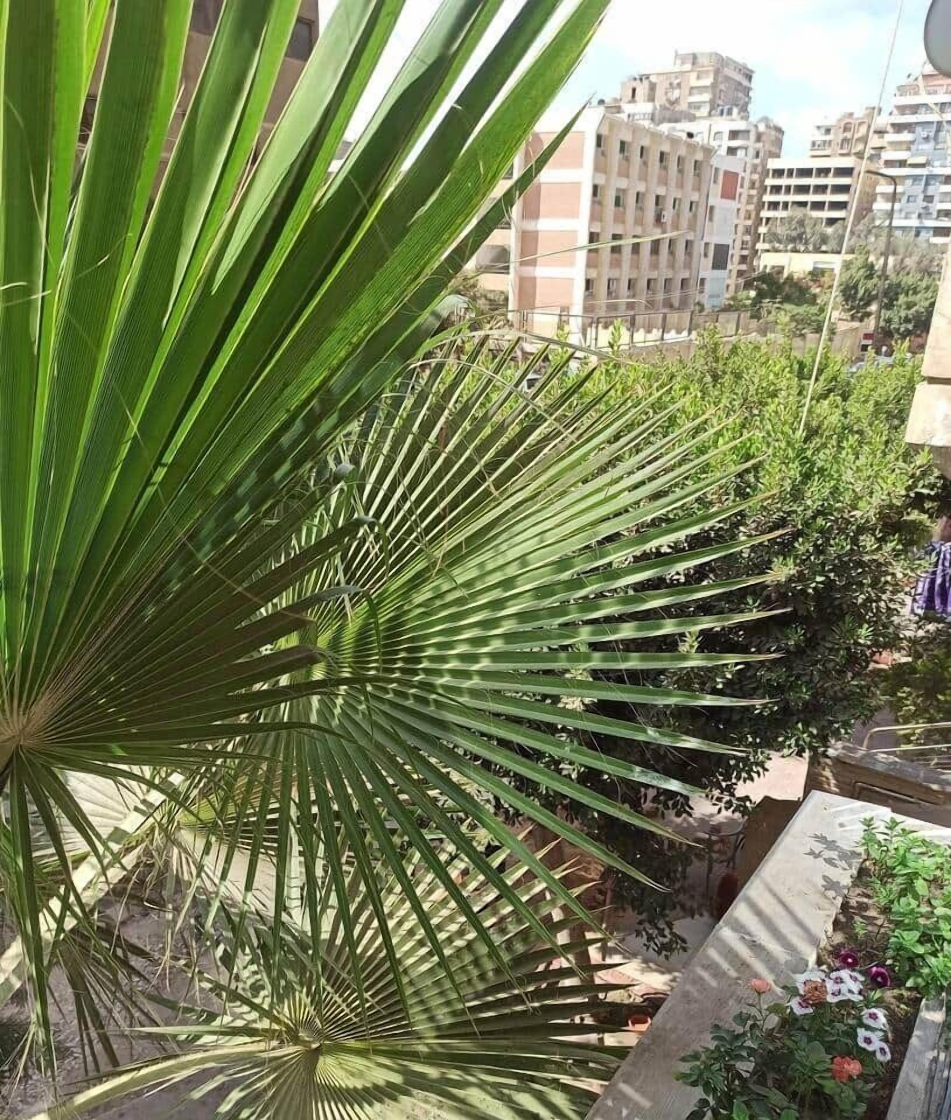 Terrain de l’hébergement 