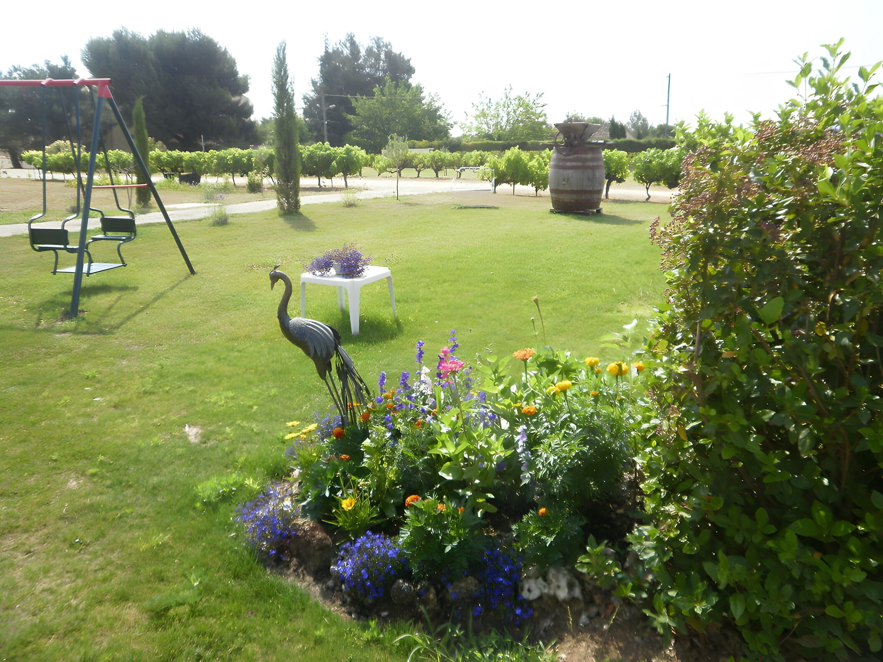 Terrein van de accommodatie