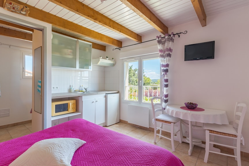 La Chambre Du Raisin Overnachten Tussen Wijngaarden Nabij Aix-en-provence - Aix-en-Provence
