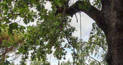 Ancient barn in Tuscan countryside near Florence