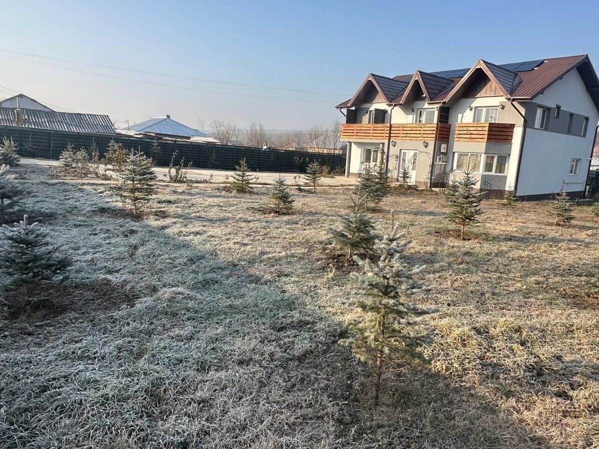 Imagen de perfil del propietario o de la propietaria