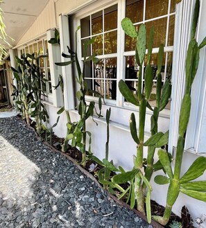 Exterior detail - Tropical Mid-Century Modern Paradise w/ Gated Yard (Fort Lauderdale)