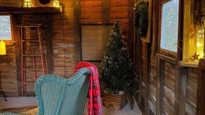 Ein gemütliches Blockhaus-Interieur mit einem Korbstuhl, einer Karo-Decke, einer kleinen Weihnachtstanne und Lichterketten.