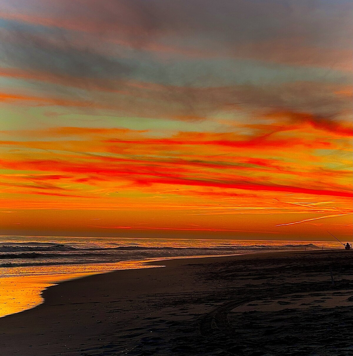 Imagen de perfil del propietario o de la propietaria