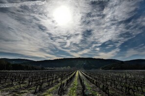 Miscellaneous - Holiday Home with Pool and Private River Beaches for 10 – Les Hauts d'Issensac, Hérault (Causse-de-la-Selle)