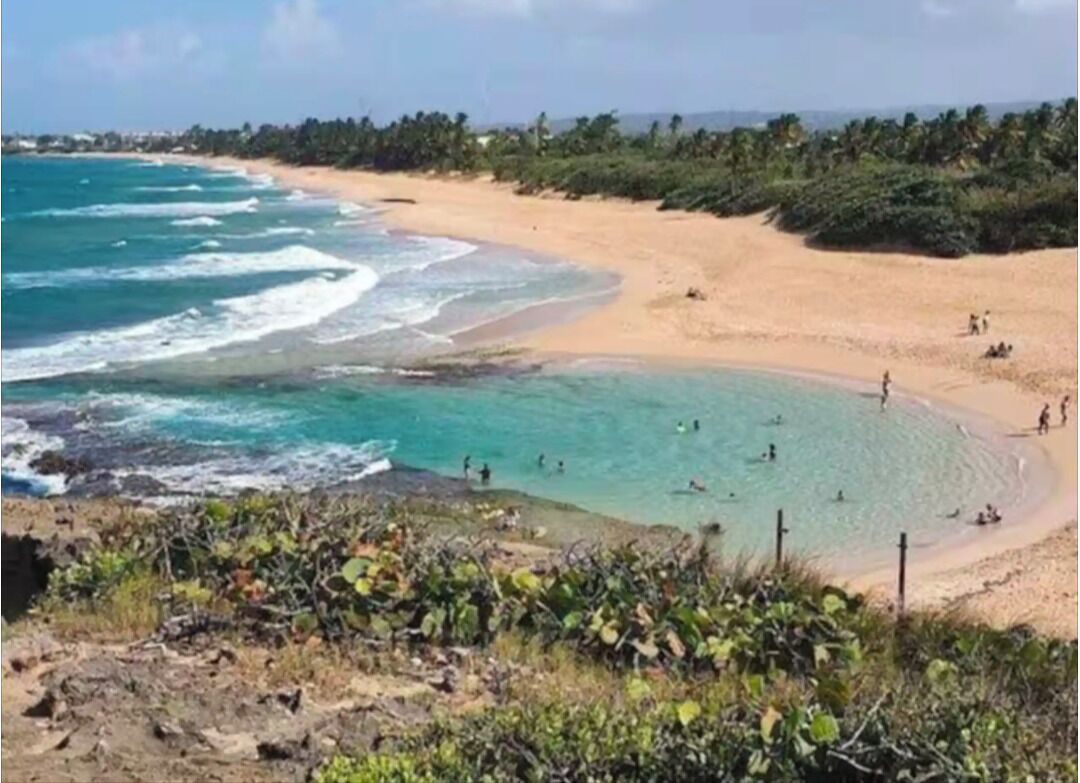Chaises longues, serviettes de plage