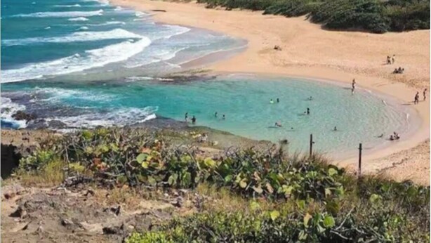 Ein Strand mit klarem türkisblauem Wasser, sandigem Ufer und dichter Vegetation im Hintergrund.
