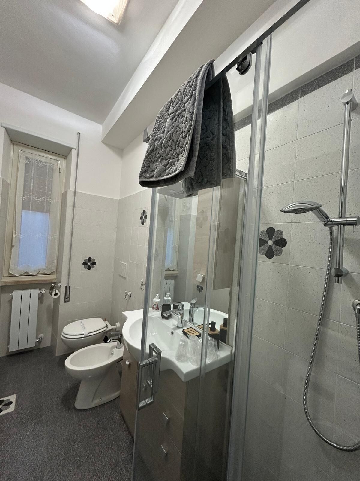 Ducha, secador de pelo, bidet, toallas