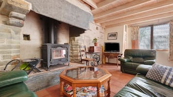 TV, caminetto, impianto stereo