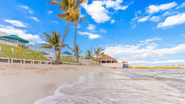 A beach with green lounge chairs, palm trees, and a thatched-roof structure.