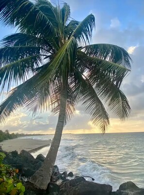 Beach - 1BR Pool & Lagoon View in Condado! (San Juan)