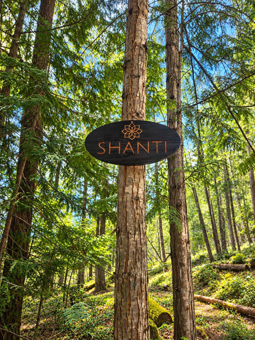 A sign with the name 'SHANTI' in a forest setting.