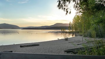 A beach with calm water, a wooden fence, and trees.