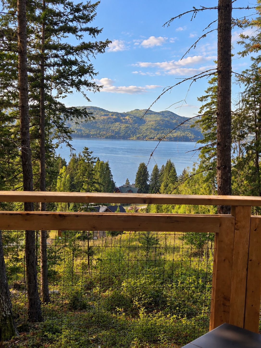 A wooden deck overlooking a lake with trees and distant mountains.
