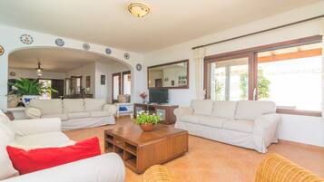 Televisión y chimenea