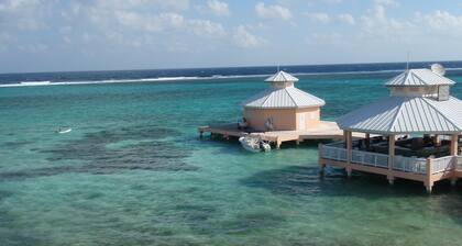 Morritts Tortuga Dec 26-Jan2, 2026 1,500 OCEANVIEW