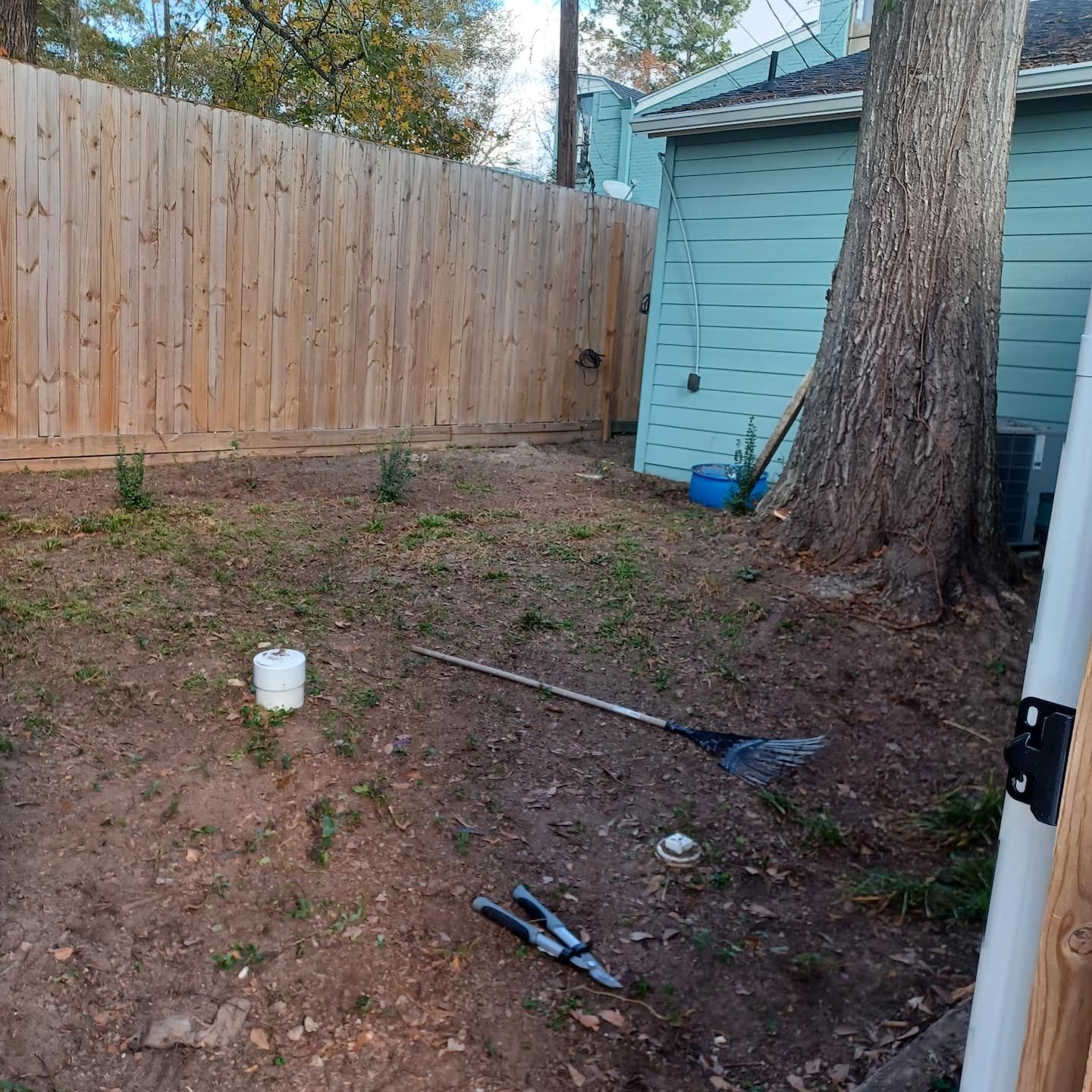 A backyard with a wooden fence, a tree, and a shed.