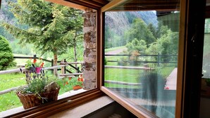 Ein Fenster mit Blick auf eine Berglandschaft, einem Holgitter und einem Blumentopf mit Blumen.
