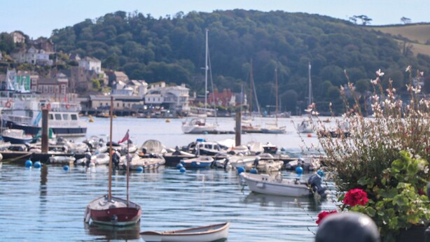 A harbor with various boats docked, a hill with buildings in the background, and a clear sky. - Snugglers Cove (Dartmouth)