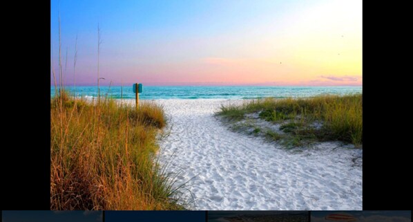 Beach - Newly renovated and beautifully decorated 2 bedroom 2 bath condo (Siesta Key)