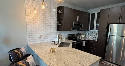Luxury Stylish comfortable 1B apartment with city view located downtown Dallas!