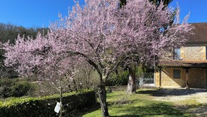 En byggnad med en fasad av sten, en täckt veranda och en välskött gräsmatta med ett körsbärsträd.