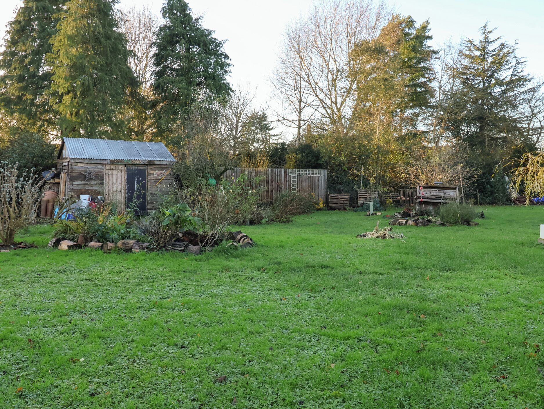 A rustic wooden shed in a garden with a metal roof, surrounded by various plants and trees.