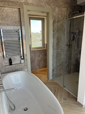 Shower, hair dryer, bidet, towels