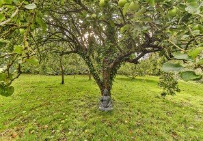 Overnattingsstedets uteområder