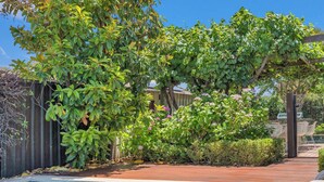 A rectangular pool with a wooden deck and white lounge chairs. - Central Charm - the best of Echuca living! (Echuca)