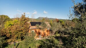 A rustic house surrounded by dense vegetation and a clear sky. - Le Studio Bleu - Jacuzzi Privé (Correns)