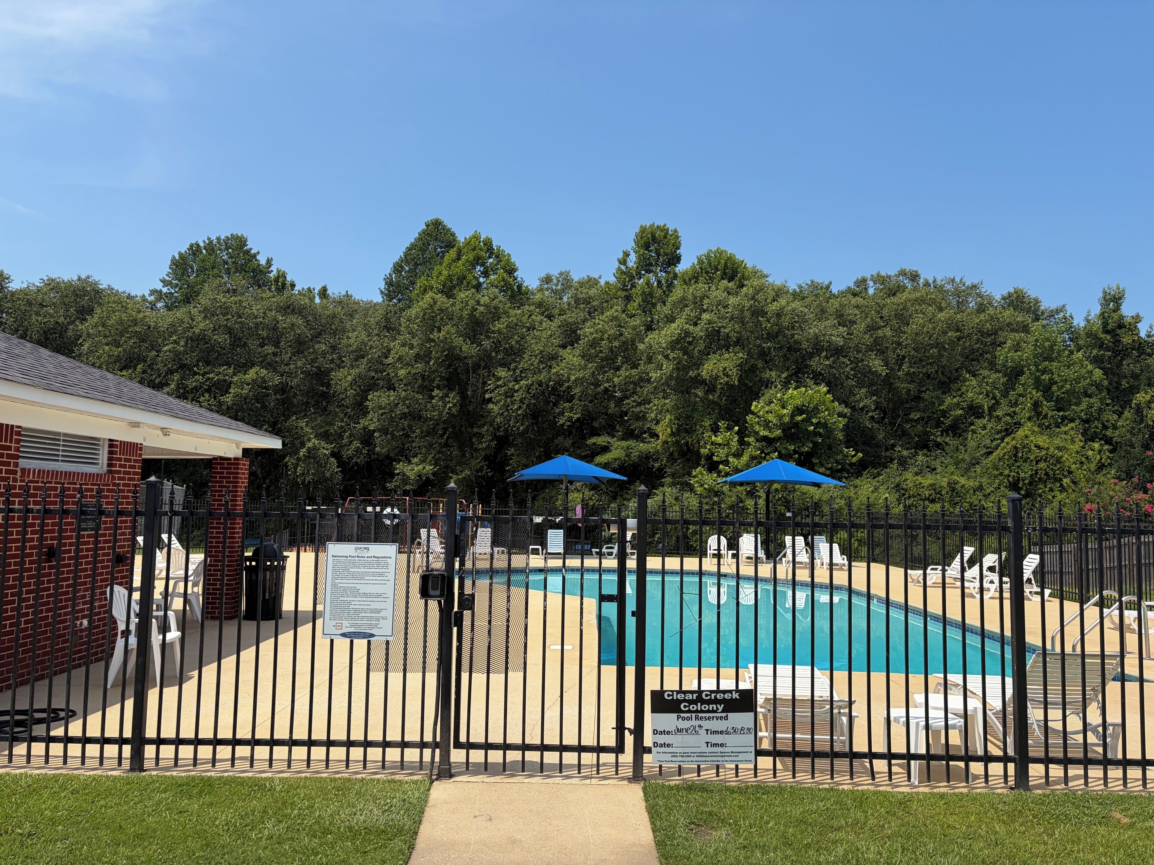 Zona de piscina cercada con sillas de descanso y sombrillas, rodeada de árboles.