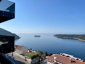 Vista desde la propiedad