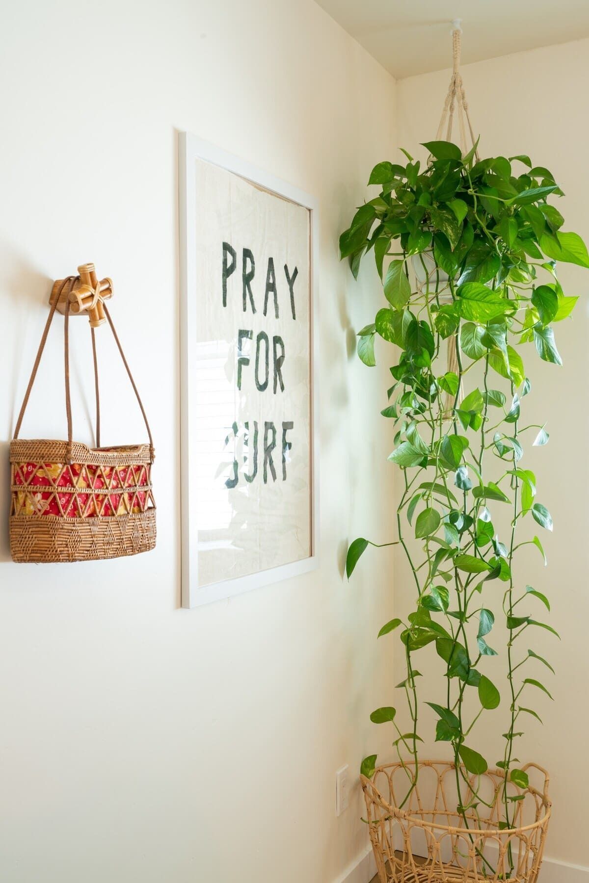 A wall with a framed sign that reads "PRAY FOR SURF" and a hanging basket with a plant.