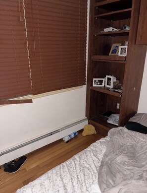 Room -  1-bedroom apartment with AC in  Syosset (Syosset)