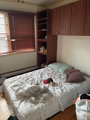 Room -  1-bedroom apartment with AC in  Syosset (Syosset)