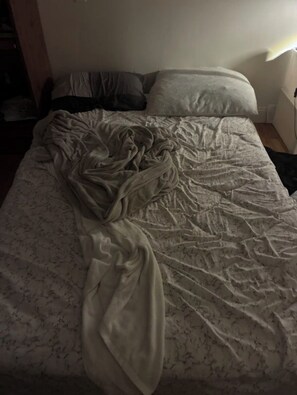 WiFi -  1-bedroom apartment with AC in  Syosset (Syosset)