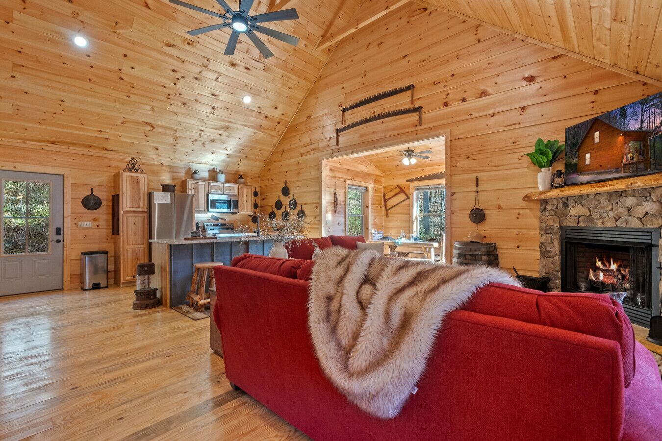 TV, fireplace, books