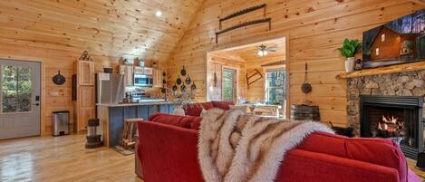 TV, fireplace, books