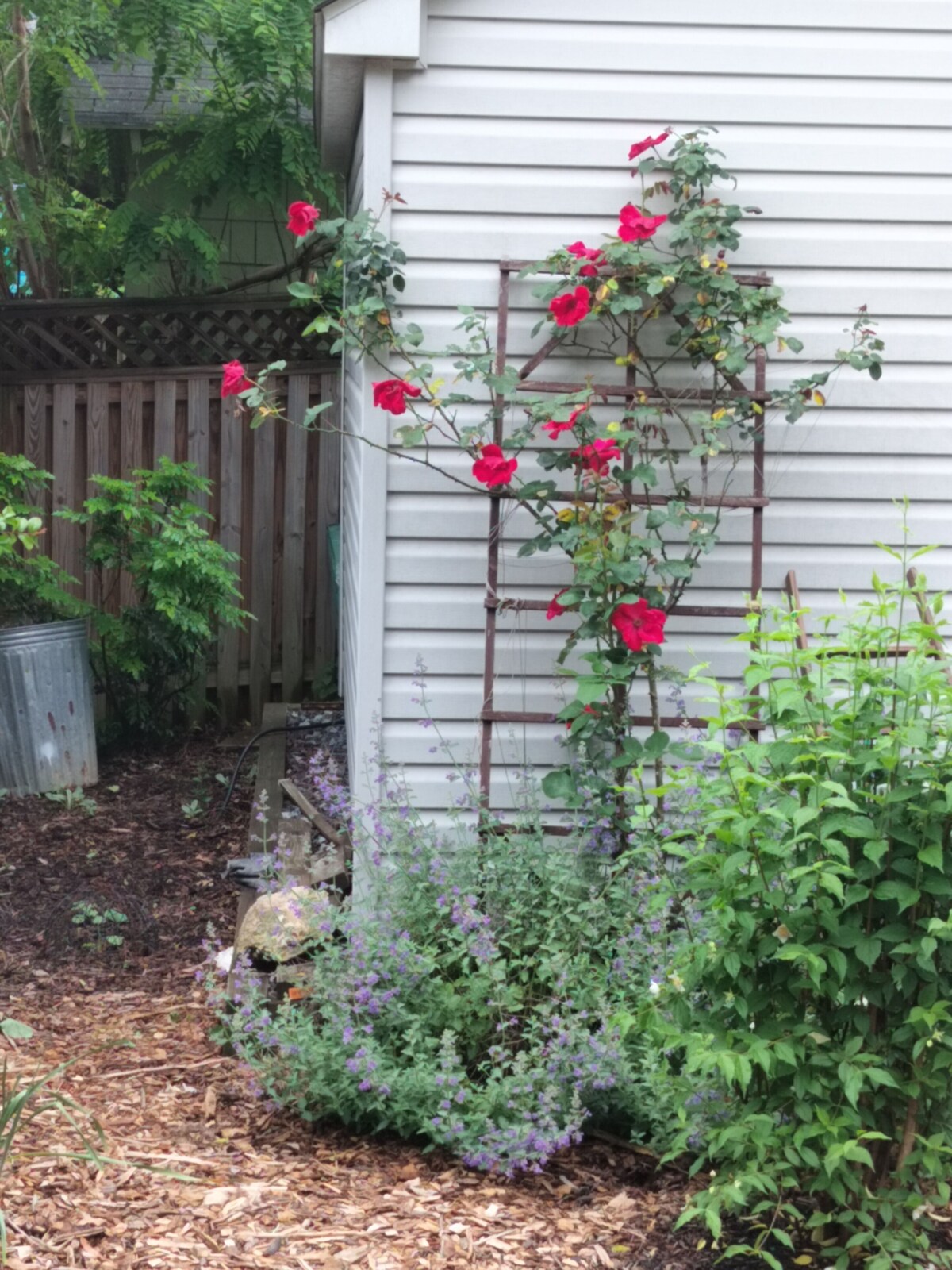 Imagen de perfil del propietario o de la propietaria