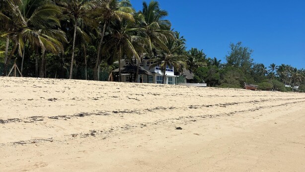 Une plage de sable avec des palmiers et un bâtiment en arrière-plan.